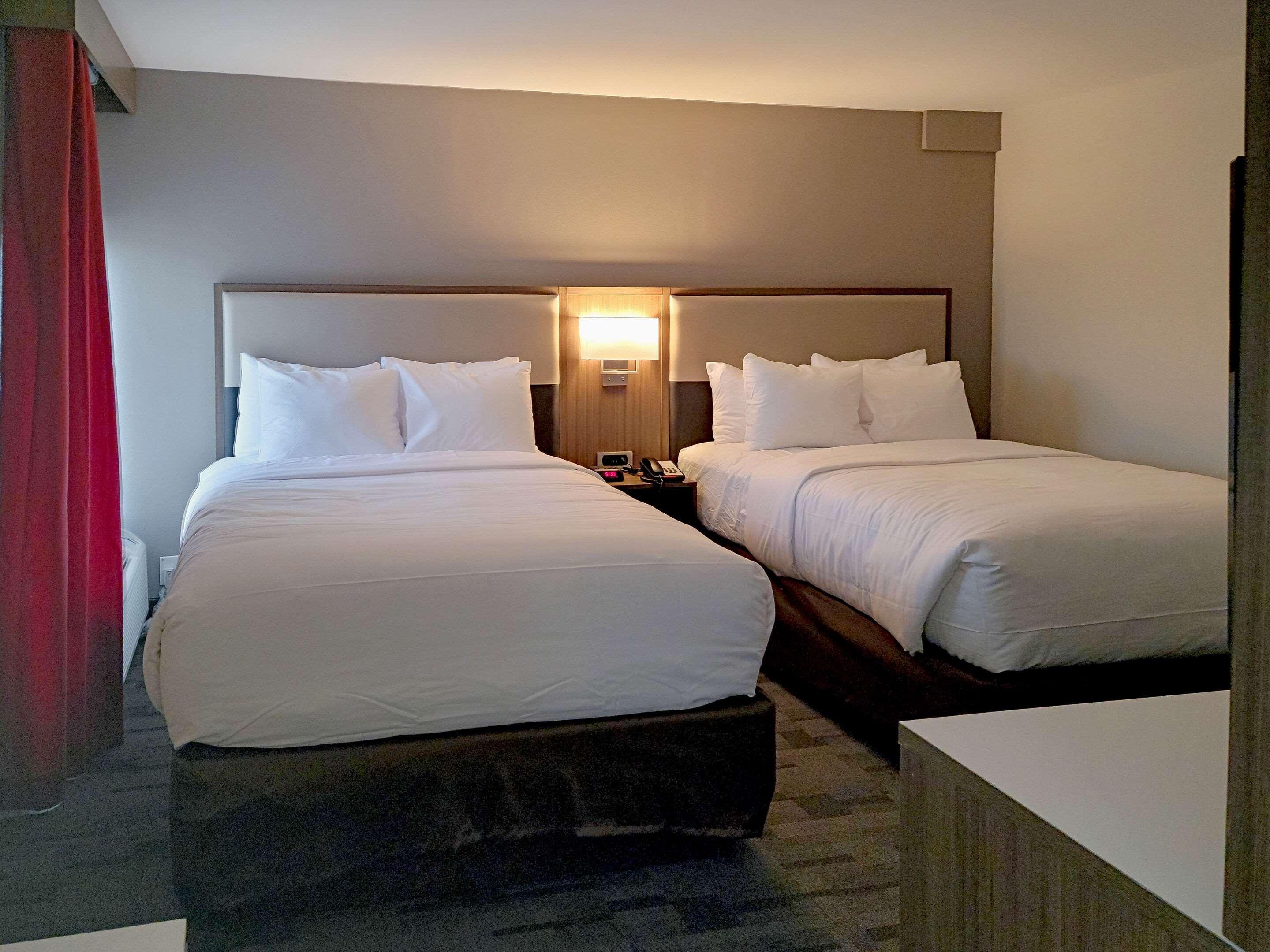 Comfort Inn & Suites Wyomissing-Reading Εξωτερικό φωτογραφία